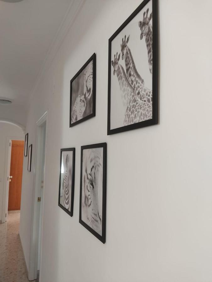 Ecija Home エクステリア 写真